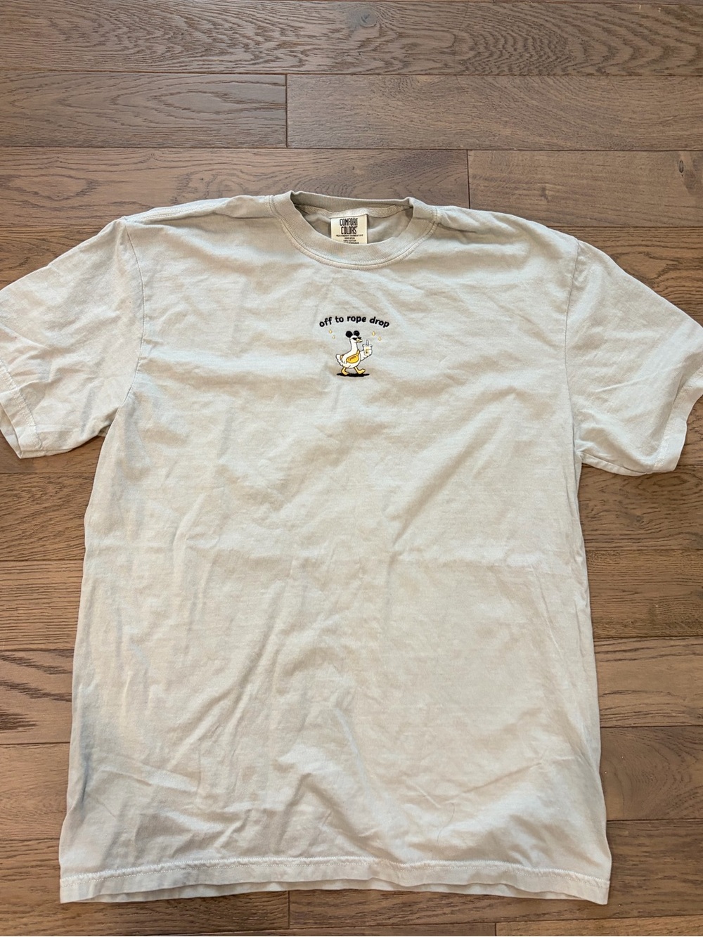 Disney “rope drop” Light Sage Green Tee